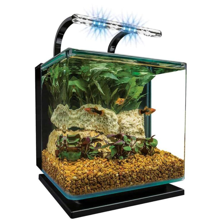 MarineLand Aquarium Review: The 5 Gallon Contour Glass Aquarium Kit