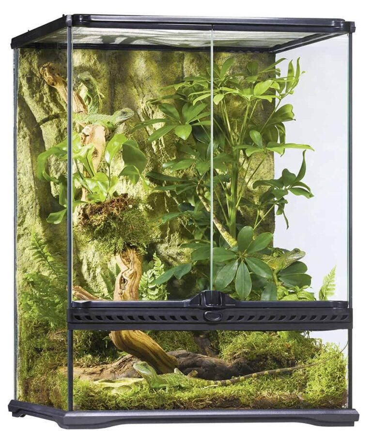 Exo Terra Terrarium Review Best Terrarium for Exotic Pets