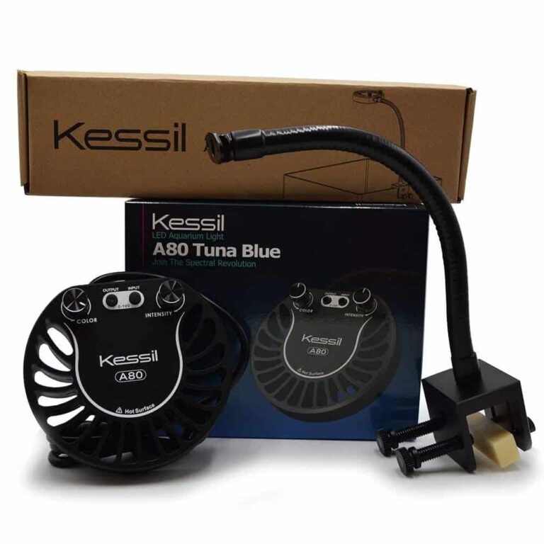 Kessil A80 Review: [Tuna Blue LED Light with Mini Gooseneck]