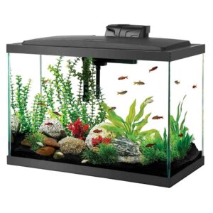 Aqueon Aquarium Fish Tank Kit