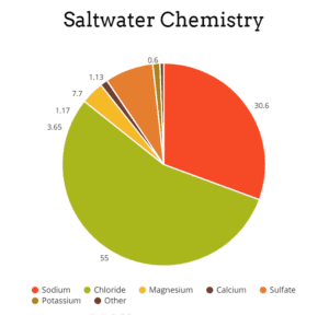How To Mix Saltwater For A Marine or Reef Aquarium