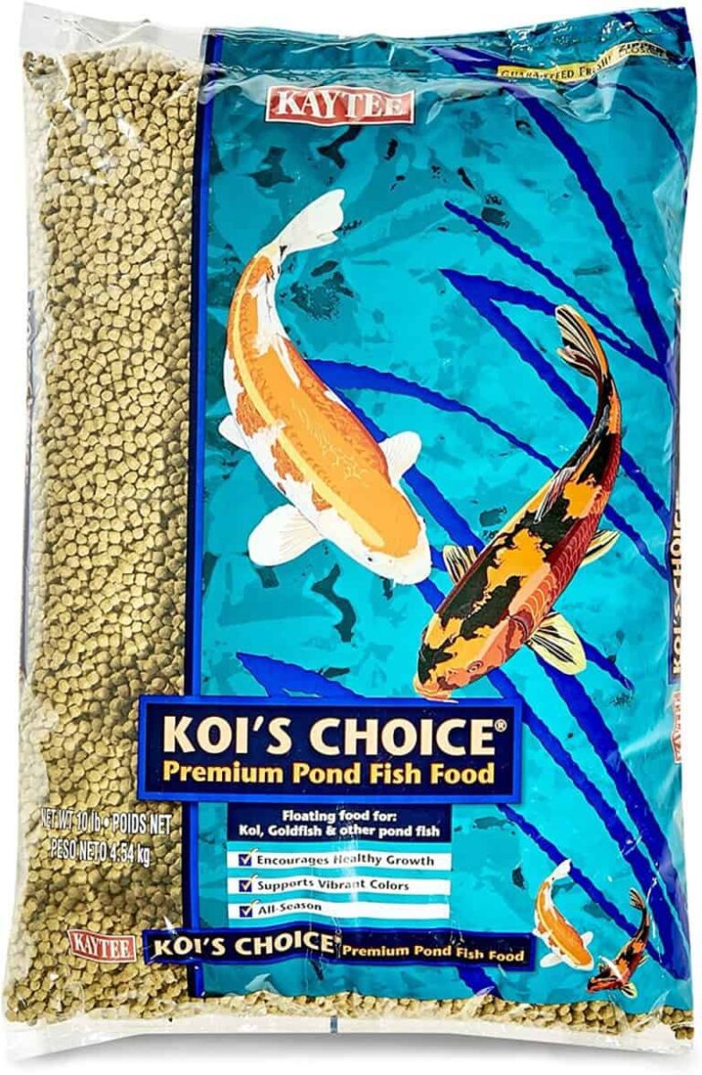 7 Best KOI Food for Maximum Growth & Stunning Colors Guide & Reviews