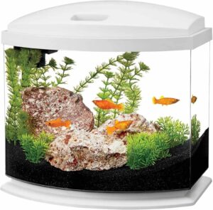 Aqueon LED MiniBow Aquarium Kit