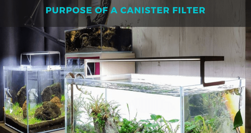 Purpose of a canister filter