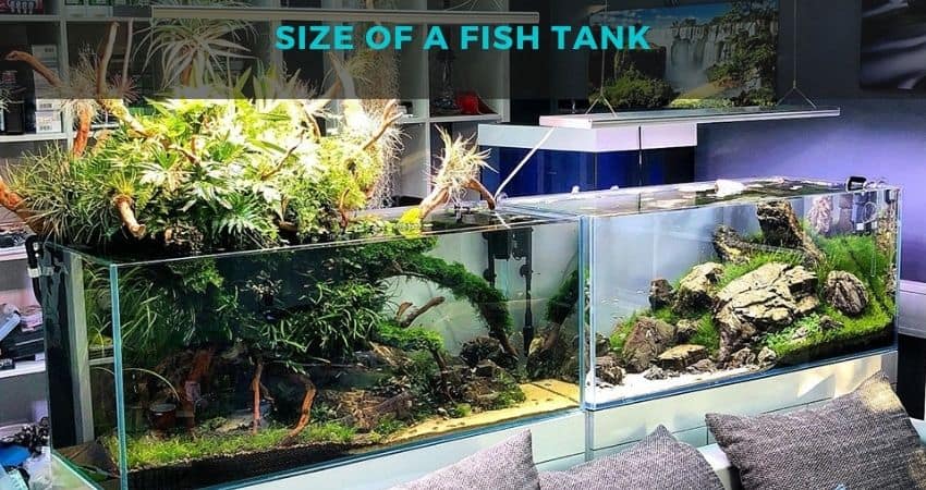 SIze of a Fish Tank is important to consider while selecting your canister filter