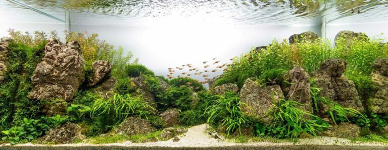 Top 5 Best Aquarium Gravels: [An In-Depth Review With Buyer’s Guide]