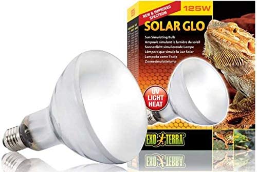 Exo Terra Solar Glo Review: UVB, UVA, Visual Light & Heat in One