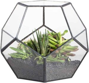 How To Make A Terrarium
