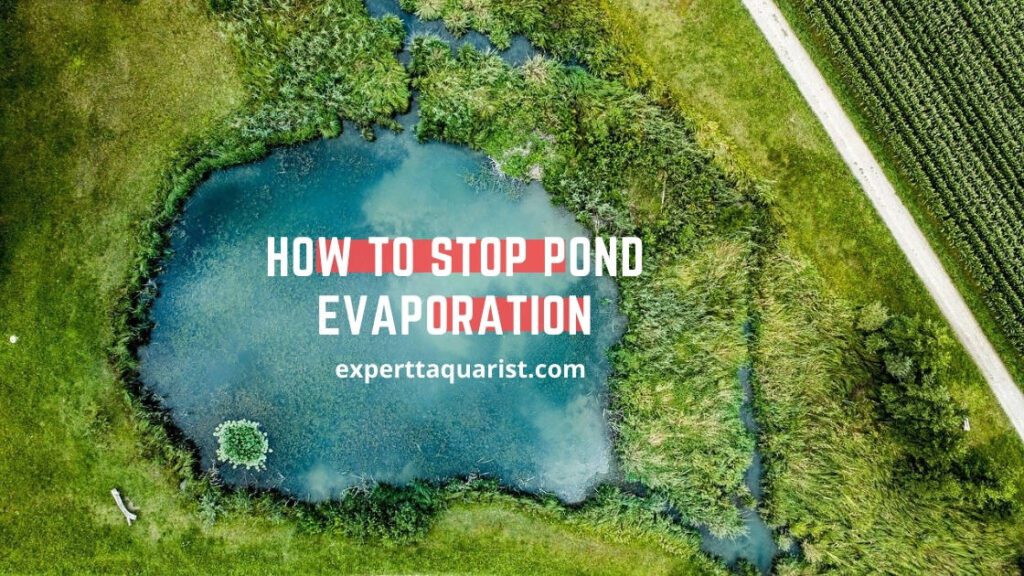 How to stop pond evaporation