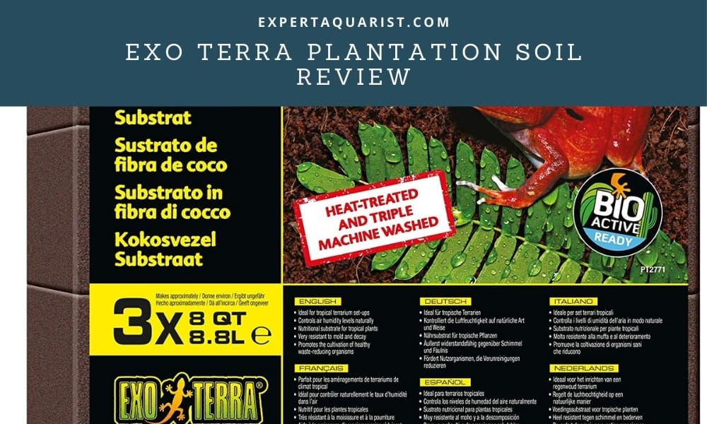 Exo Terra Plantation Soil Review