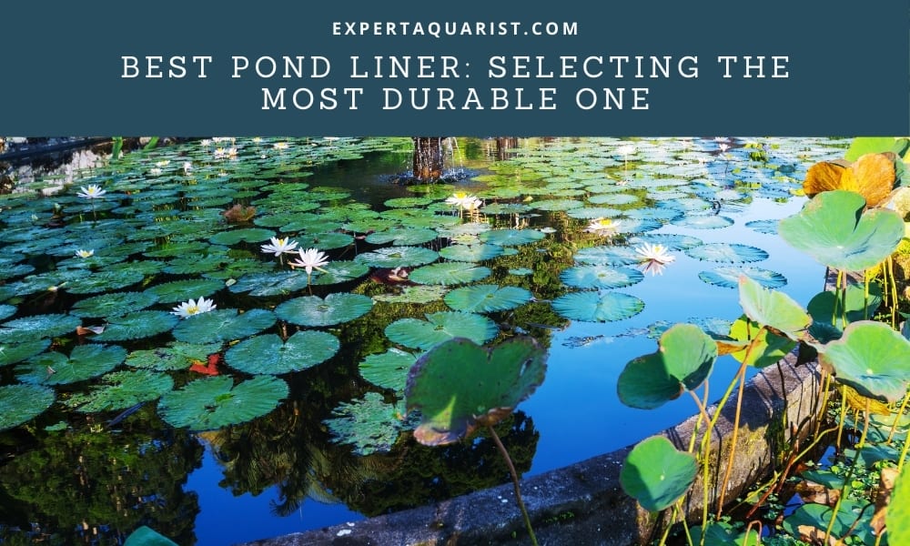 Best Pond Liner