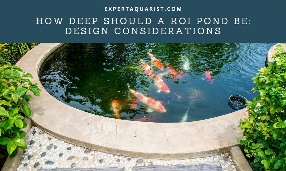 How Deep Should A Koi Pond Be: Design Considerations For A Koi Pond