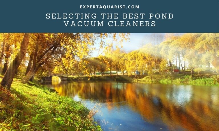 Top 7 Best Pond Vacuum Cleaners: Tested & Reviewed