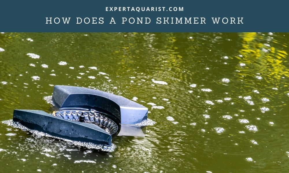 How Does A Pond Skimmer Work