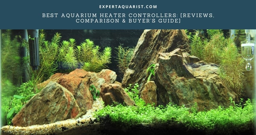 Best Aquarium Heater Controllers