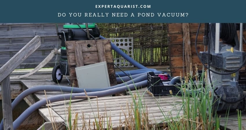 Do You Really Need A Pond Vacuum