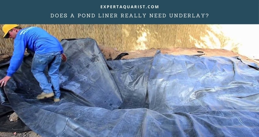 Does A Pond Liner Really Need Underlay