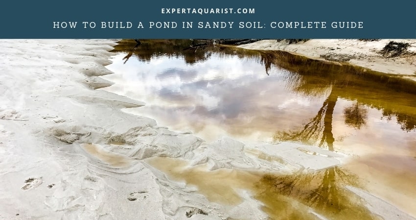 How To Build A Pond In Sandy Soil