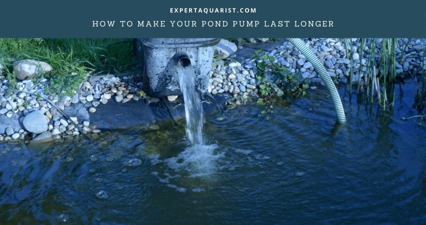 How To Make Your Pond Pump Last Longer