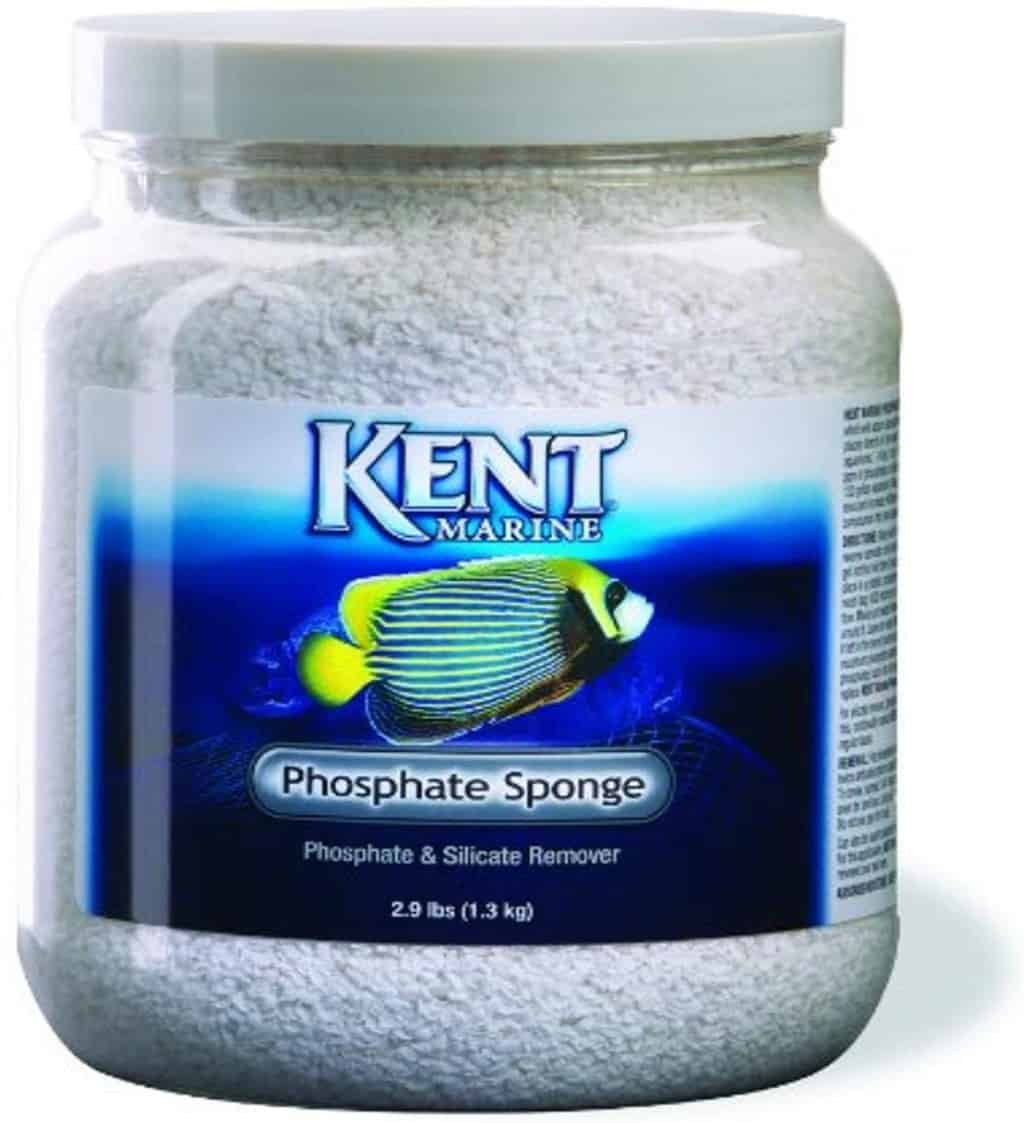 View of Best Phosphate Remover For Saltwater, Reef, & Freshwater Aquarium