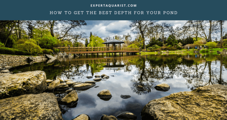 How To Get The Best Depth For Your Pond