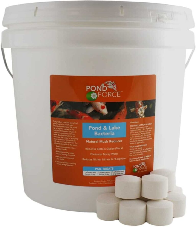 Best Pond Sludge Removers Reviews & Buyer’s Guide
