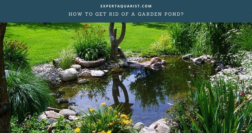 How To Get Rid Of A Garden Pond