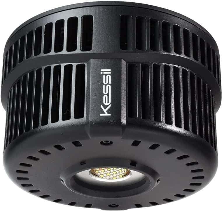 Kessil A500X Review: LED Light For SPS Dominated Reef Tanks