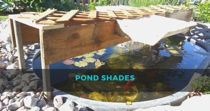 Pond Shades