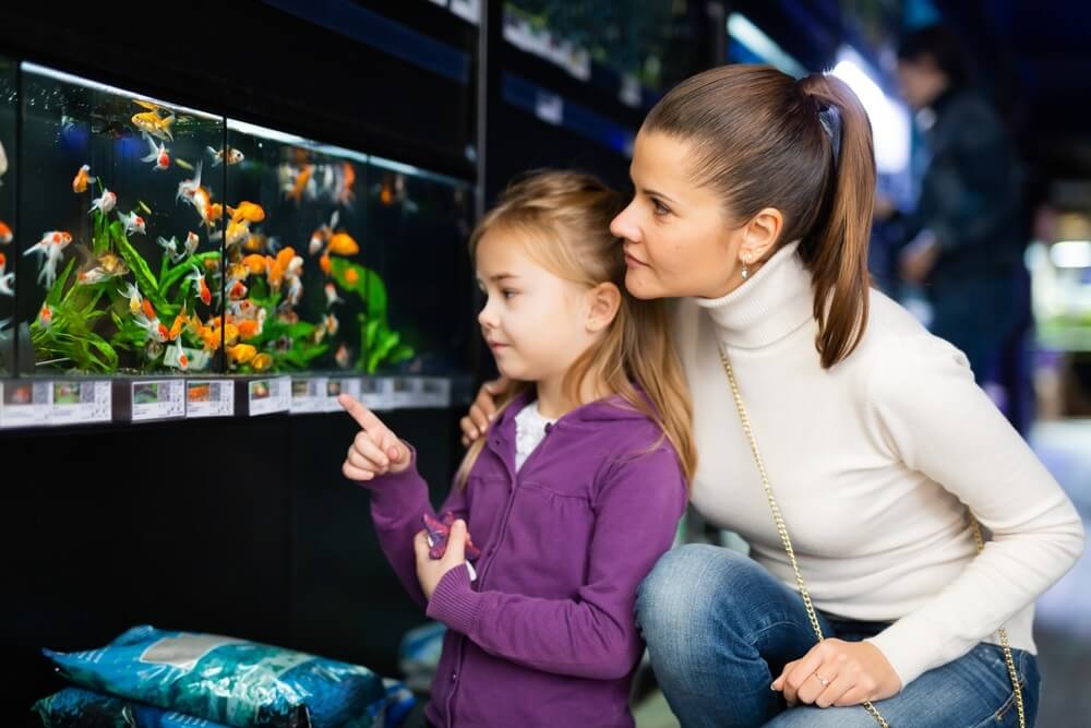 girl with mother choosing new aquarium fish for home fish tank