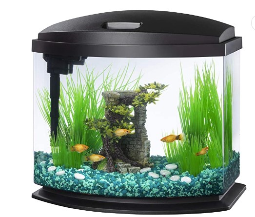 Aqueon LED MiniBow Aquarium Kit